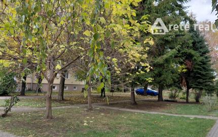 ARETÉ REAL-PREDAJ 2 IZBOVÉHO BYTU V PEZINKU, SLNEČNÝ, PRIESTRANNÝ, REKONŠTRUKCIA-CENTRUM