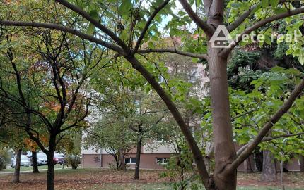 ARETÉ REAL-PREDAJ 2 IZBOVÉHO BYTU V PEZINKU, SLNEČNÝ, PRIESTRANNÝ, REKONŠTRUKCIA-CENTRUM