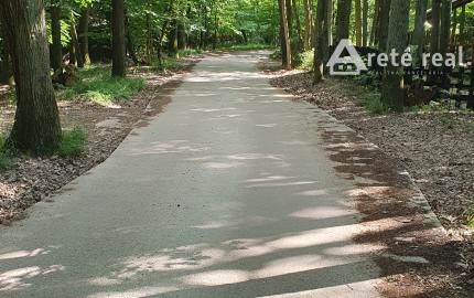 Areté real - Predaj chaty v Kučišdorfskej doline.