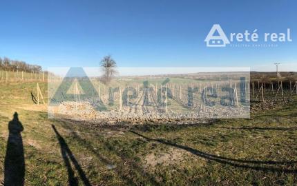 Areté real - Predaj vinice v Modre pri Kalvárii