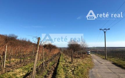 Areté real - Predaj vinice v Modre pri Kalvárii