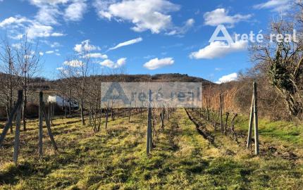 Areté real - Predaj vinice v Modre pri Kalvárii