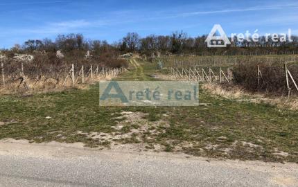 Areté real - Predaj vinice v Modre pri Kalvárii