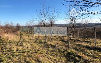 Areté real - Predaj vinice v Modre pri Kalvárii