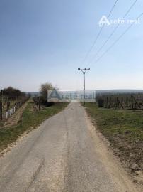 Areté real - Predaj vinice v Modre pri Kalvárii