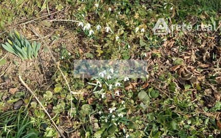 ARETÉ REAL - PREDAJ TEHLOVÉHO 2-IZ.BYTU V CENTRE MESTA  PEZINOK, 2 PIVNICE,VÝMERA 65,10 m2