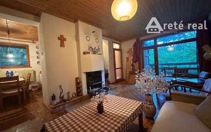 ARETÉ REAL – PREDAJ REKREAČNEJ CHATY PRI TRNIANSKOM POTOKU, PEZINOK, KUČIŠDORFSKÁ DOLINA