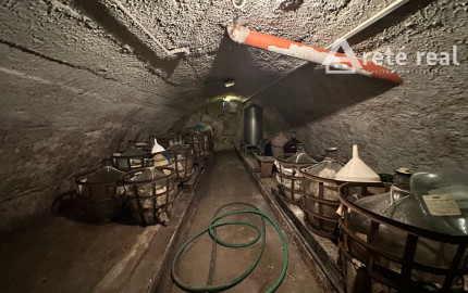 ARETÉ REAL – PREDAJ VINOHRADNÍCKEHO RODINNÉHO DOMU S NEBYTOVOU BUDOVOU V CENTRE MODRY, ŠTÚROVA