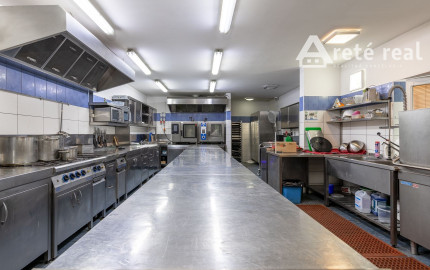 ARETÉ REAL – PREDAJ "HOTELA VINÁRSKY DOM“ S KOMPLETNÝM ZARIADENÍM AJ PARKOVISKOM, PEZINOK CENTRUM