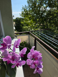 Arete real-Predaj priestranného 3-izbového  bytu s nádherným výhľadom na Malé Karpaty v zateplenom tehlovom bytovom dome, Bratislava,  Pri Bielom kríži