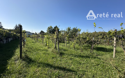 ARETÉ REAL - PRIPRAVUJEME PREDAJ 2160 m2 STAVEBNÉHO POZEMKU, STUPAVA, RÍMSKA