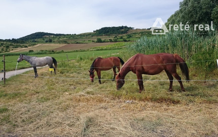 Areté real - Predaj jedinečného pozemku pri vode a pod lesom v atraktívnej lokalite, Pezinok- Rozálka
