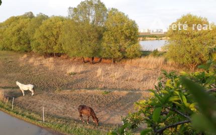 Areté real - Predaj jedinečného pozemku pri vode a pod lesom v atraktívnej lokalite, Pezinok- Rozálka