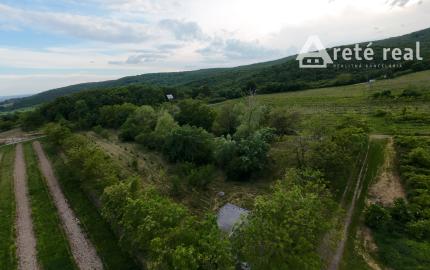 ARETÉ REAL – PRIPRAVUJEME PREDAJ 6270m2 POZEMKU S JAZIERKOM V MODRE, ČASŤ ŠARKAPERKY