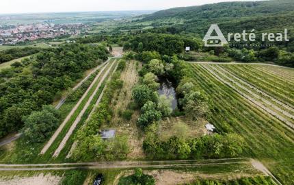 ARETÉ REAL – PRIPRAVUJEME PREDAJ 6270m2 POZEMKU S JAZIERKOM V MODRE, ČASŤ ŠARKAPERKY