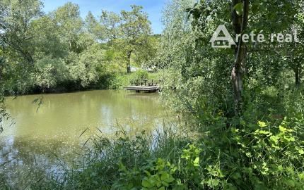 ARETÉ REAL – PRIPRAVUJEME PREDAJ 6270m2 POZEMKU S JAZIERKOM V MODRE, ČASŤ ŠARKAPERKY