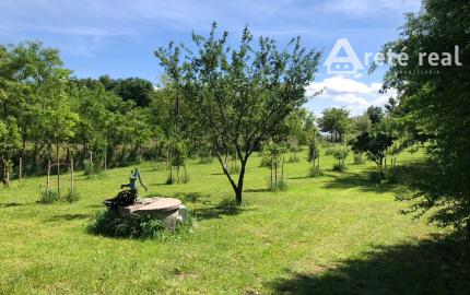 ARETÉ REAL – PREDAJ ORLIEHO JAZIERKA S OČARUJÚCIM POZEMKOM A VINICOU V MODRE, ČASŤ ŠARKAPERKY