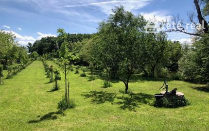 ARETÉ REAL – PREDAJ ORLIEHO JAZIERKA S OČARUJÚCIM POZEMKOM A VINICOU V MODRE, ČASŤ ŠARKAPERKY