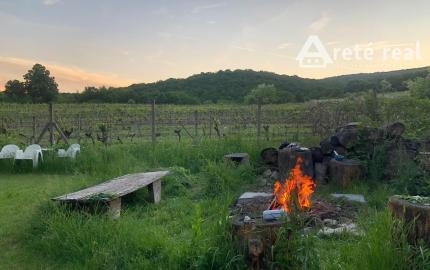 ARETÉ REAL – PREDAJ ORLIEHO JAZIERKA S OČARUJÚCIM POZEMKOM A VINICOU V MODRE, ČASŤ ŠARKAPERKY