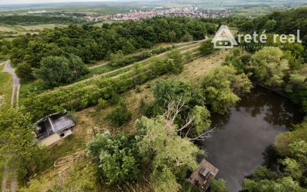 ARETÉ REAL – PREDAJ ORLIEHO JAZIERKA S OČARUJÚCIM POZEMKOM A VINICOU V MODRE, ČASŤ ŠARKAPERKY