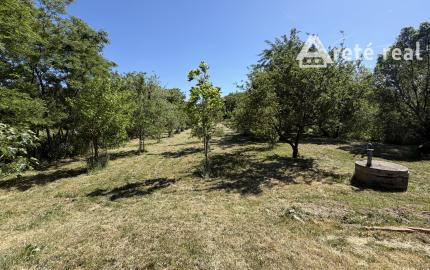 ARETÉ REAL – PREDAJ ORLIEHO JAZIERKA