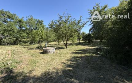 ARETÉ REAL – PREDAJ ORLIEHO JAZIERKA