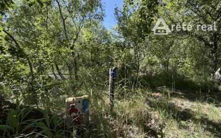 ARETÉ REAL – PREDAJ ORLIEHO JAZIERKA