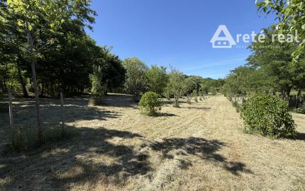 ARETÉ REAL – PREDAJ ORLIEHO JAZIERKA