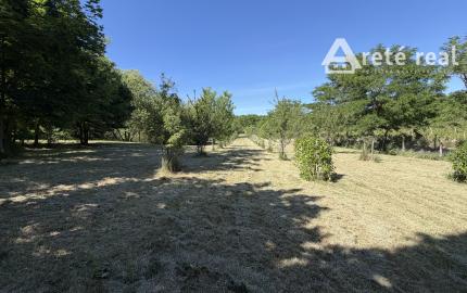 ARETÉ REAL – PREDAJ ORLIEHO JAZIERKA