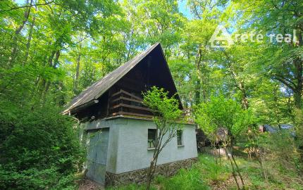 Areté real - Predaj chaty v Kučišdorfskej doline.