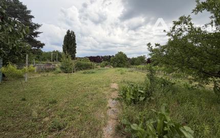 ARETÉ REAL – PREDAJ 2 VINÁRSKYCH RODINNÝCH DOMOV S 2 NEBYTOVÝMI BUDOVAMI V CENTRE MODRY, DOLNÁ