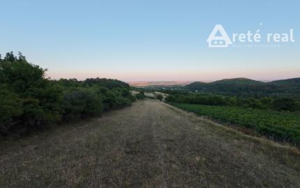ARETÉ REAL – PREDAJ 3892m2 VINICE, PEZINOK, STARÁ HORA