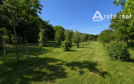 ARETÉ REAL – PREDAJ ORLIEHO JAZIERKA