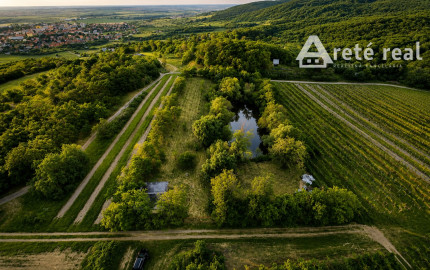 ARETÉ REAL – PREDAJ ORLIEHO JAZIERKA