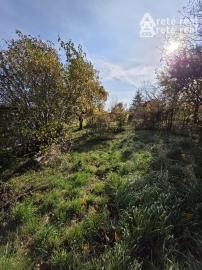 Areté real- Ponúkame na predaj rodinný dom v tichej časti Častej – ideálne na rekonštrukciu alebo novú výstavbu