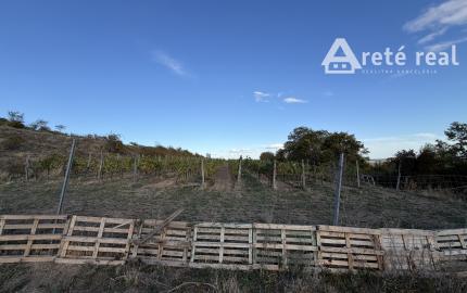 arete.sk – PREDAJ 3012m2 VINICE, PEZINOK, STARÁ HORA