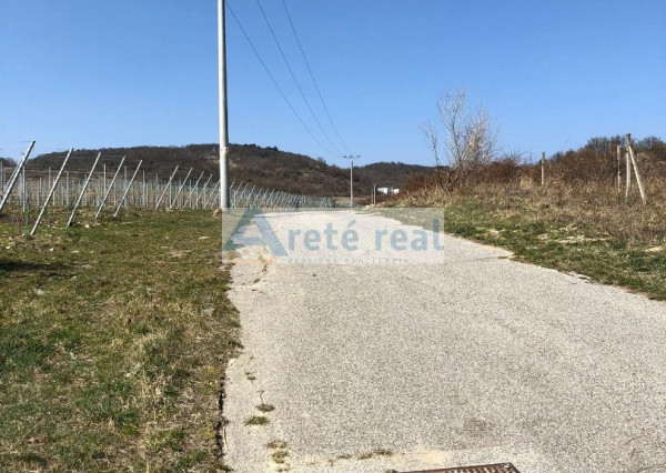 Areté real - Predaj vinice v Modre pri Kalvárii
