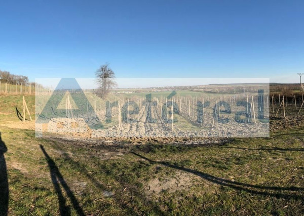 Areté real - Predaj vinice v Modre pri Kalvárii