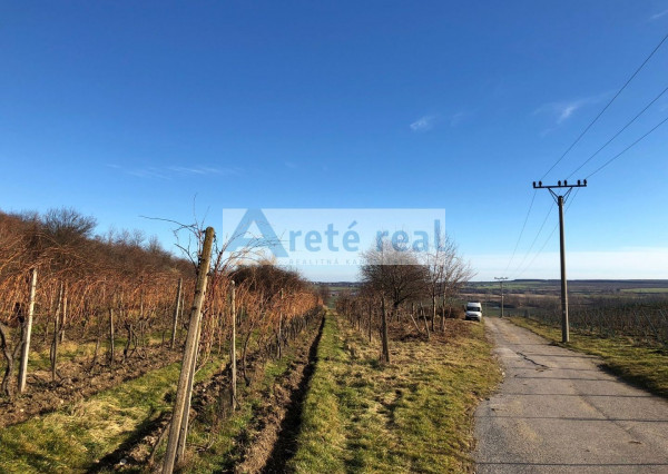 Areté real - Predaj vinice v Modre pri Kalvárii