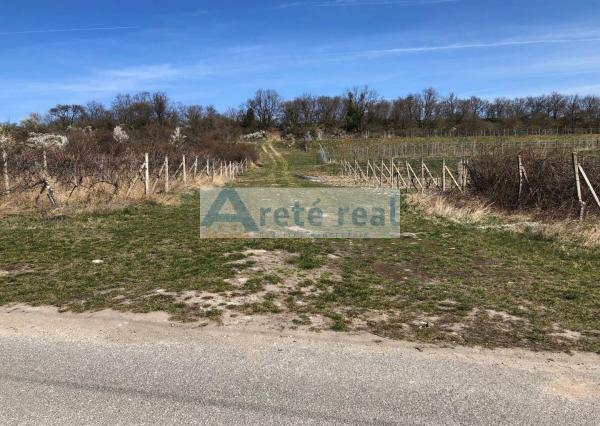 Areté real - Predaj vinice v Modre pri Kalvárii