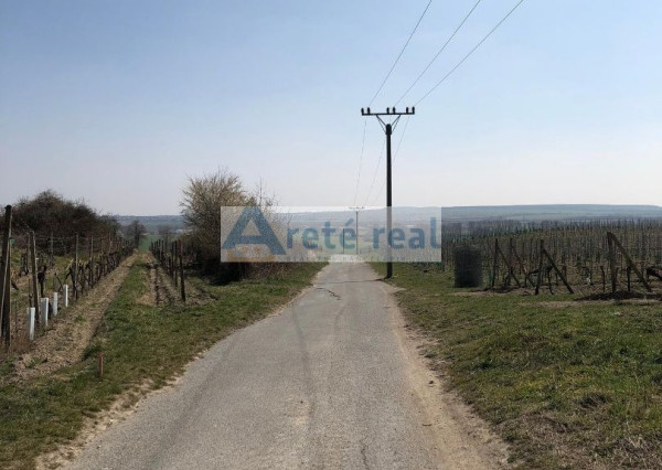 Areté real - Predaj vinice v Modre pri Kalvárii