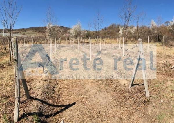 Areté real - Predaj vinice v Modre pri Kalvárii