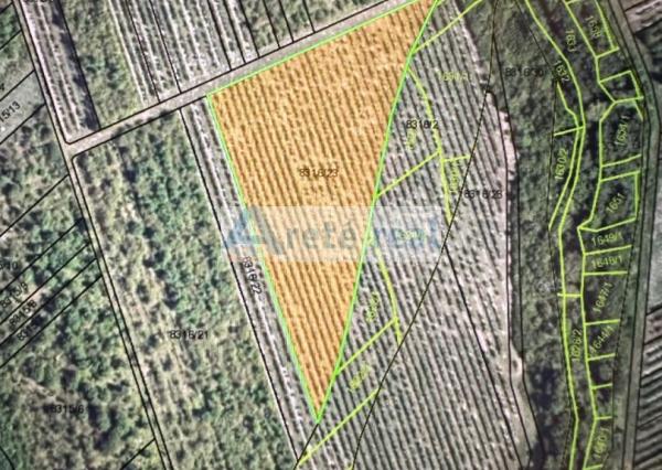 ARETÉ REAL - PREDAJ 6452 M2 OBRÁBANEJ VINICE, MODRA, ČASŤ  LAZÁRE