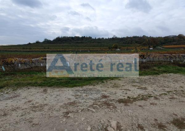 Areté real Vám ponúka na predaj udržiavaný vinohrad v Pezinku  lokalita 