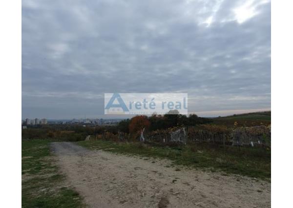 Areté real Vám ponúka na predaj udržiavaný vinohrad v Pezinku  lokalita 