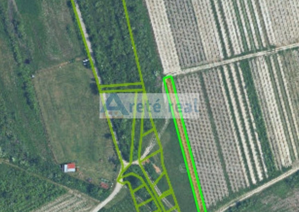 Areté real - Predaj pozemku - druh vinica v Modre