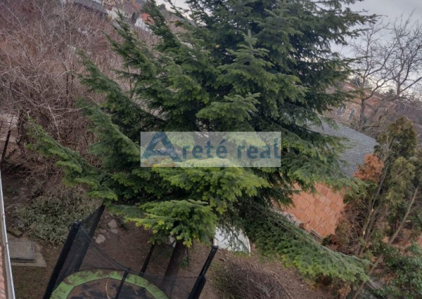 Areté real - Zľava! Predaj dvojgeneračného rodinného domu vhodného aj na podnikanie spojeného s bývaním v strategickej lokalite s prístupom priamo z hlavnej cesty v obci Viničné,