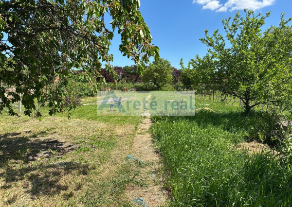 ARETÉ REAL – PREDAJ VINOHRADNÍCKEHO RODINNÉHO DOMU S NEBYTOVOU BUDOVOU V CENTRE MODRY, ŠTÚROVA