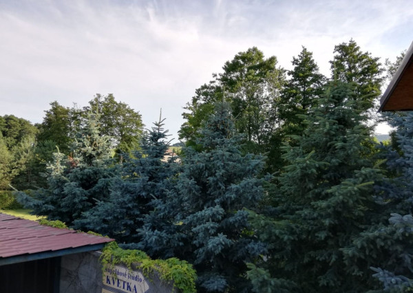 Arete real- Prenájom 1 izbového bytu  v Limbachu