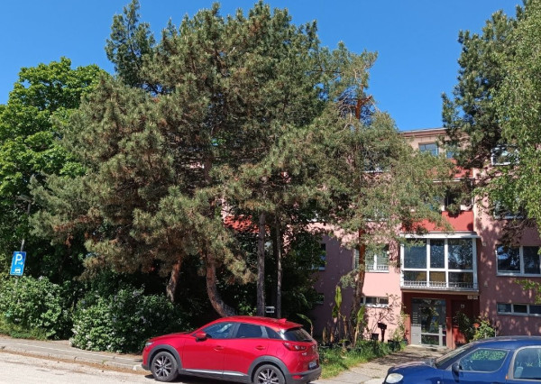 REZERVOVANÉ-PREDAJ SLNEČNÉHO 2 IZB.BYTU S BALKÓNOM, MUROVANOU PIVNICOU,MIESTO PLNÉ ZELENE V PEZINKU,SÍDLISKO JUH